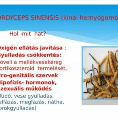 Hormonális rendellenességek kezelése