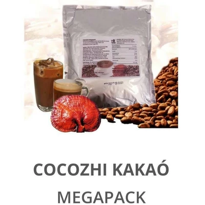 COCOZHI