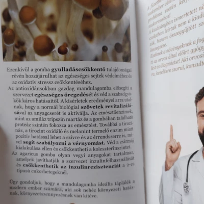 Ganoterápia és az összes Gyógygombáról