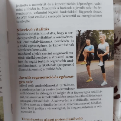 Ganoterápia és az összes Gyógygombáról