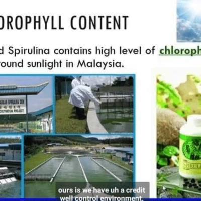 DXN SPIRULINA CANDY 120