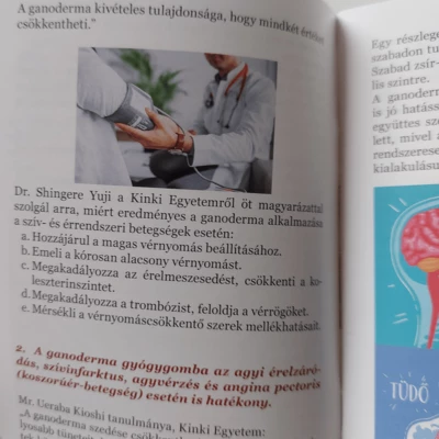 Ganoterápia és az összes Gyógygombáról