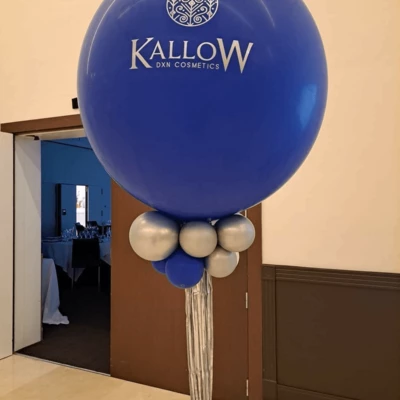 Kallow DXN high quality Cosmetics launched in European 