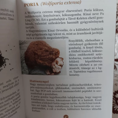 Ganoterápia és az összes Gyógygombáról