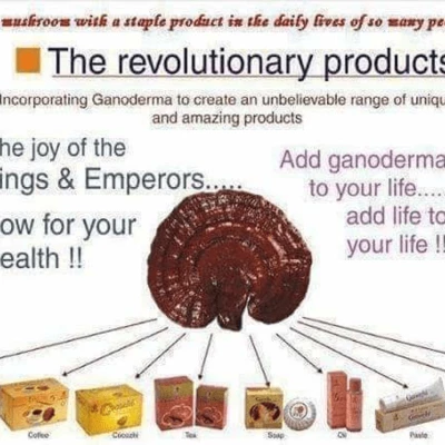 Ganoderma Factory Malaysia