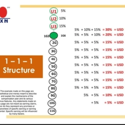 DXN Icing On The Cake ,The Compensation Plan of DXN