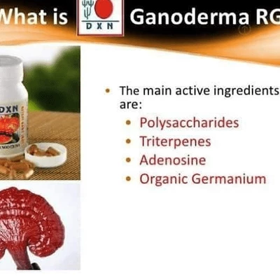 What is Ganotherapy ?