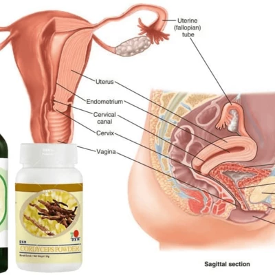 Hormonális rendellenességek kezelése