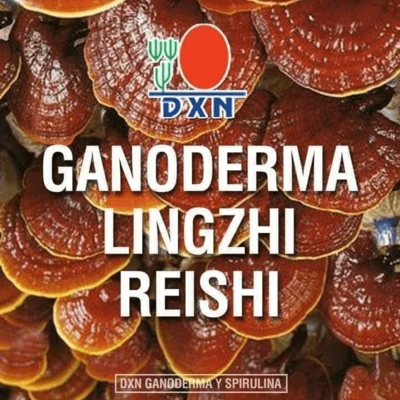 Ganoderma Factory Malaysia