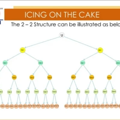 DXN Icing On The Cake ,The Compensation Plan of DXN