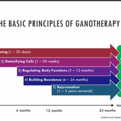 What is Ganotherapy ?