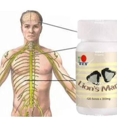 Lion s mane is considered a friend of the nervous and digestive systems