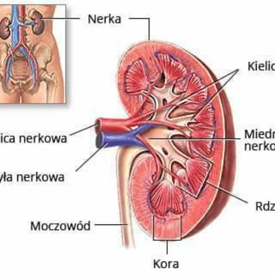 Hormonális rendellenességek kezelése